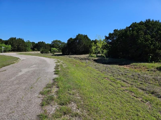 Listing photo 3 for 31041 Doe Run Ct, Whitney TX 76692