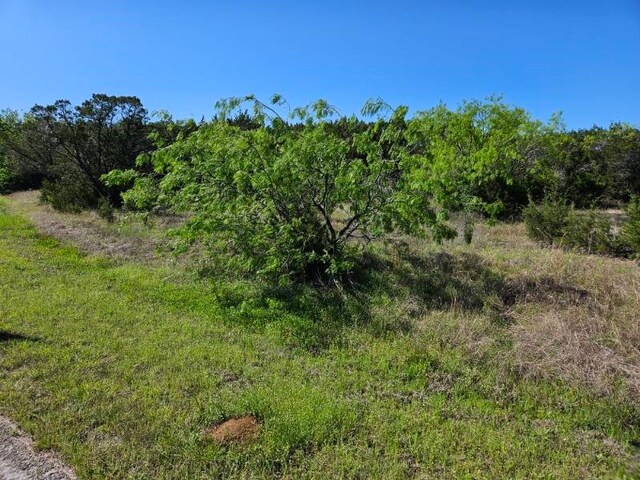31041 Doe Run Ct, Whitney, TX 76692