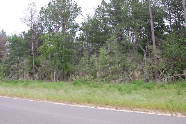 15674 Forest Grove Dr, Willis TX, 77378 land for sale