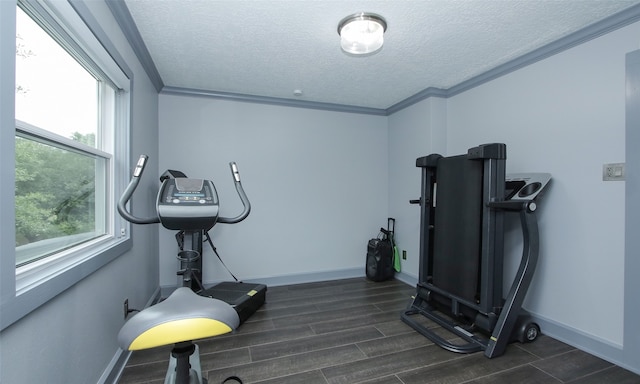 workout area with ornamental molding, a healthy amount of sunlight, and a textured ceiling