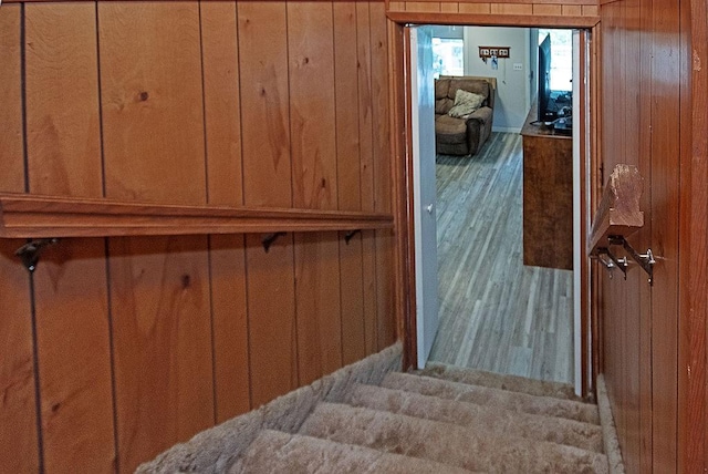 staircase with wood walls