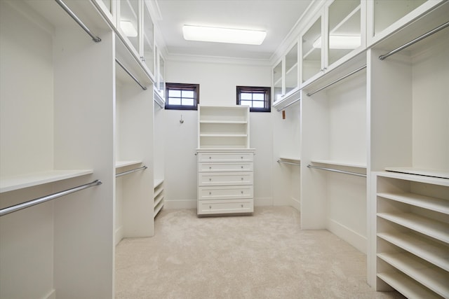 spacious closet featuring light colored carpet