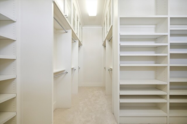 walk in closet with light colored carpet