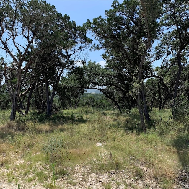 LOT24B Caprock Rdg, Helotes TX, 78023 land for sale