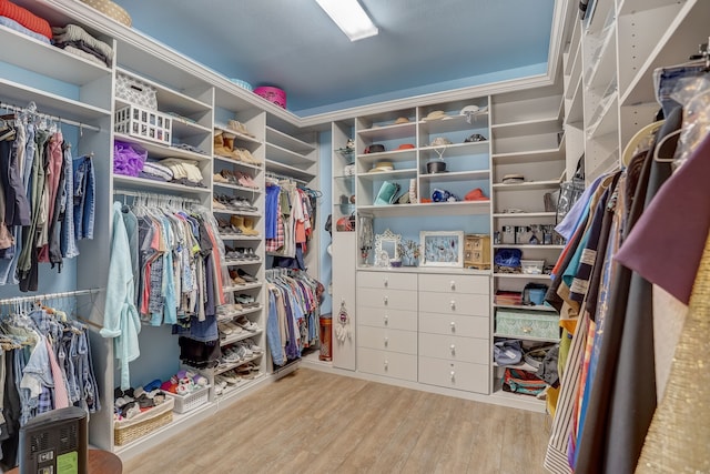 spacious closet featuring light hardwood / wood-style flooring