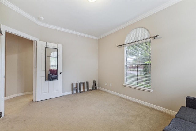 interior space with ornamental molding, plenty of natural light, and carpet flooring