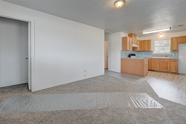 kitchen with light colored carpet, a textured ceiling, and range