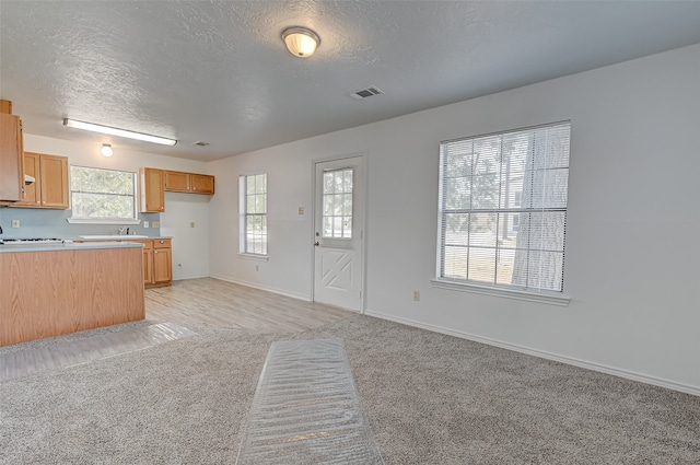 kitchen featuring light carpet, sink, and a textured ceiling