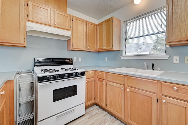 kitchen featuring light brown cabinetry, sink, light hardwood / wood-style floors, and white range with gas stovetop