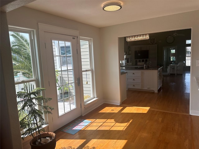 doorway to outside featuring a sink, baseboards, wood finished floors, and a healthy amount of sunlight