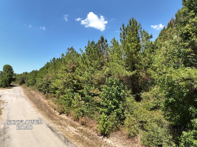 Listing photo 2 for 0 Sunflower Rd, Livingston TX 77351