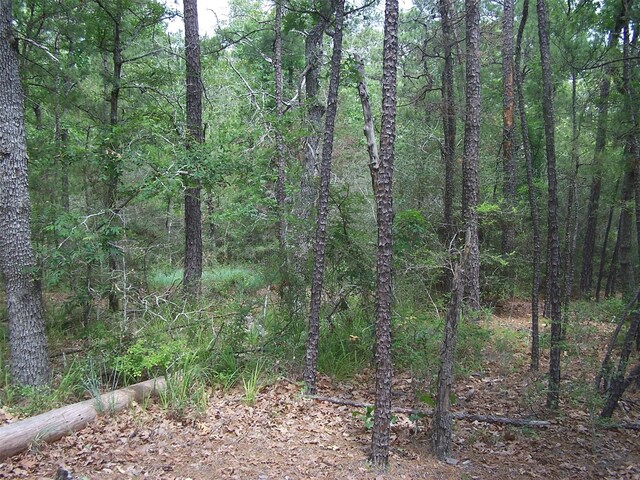 0 Twin Creek Dr, Huntsville, TX 77320 - photo 5