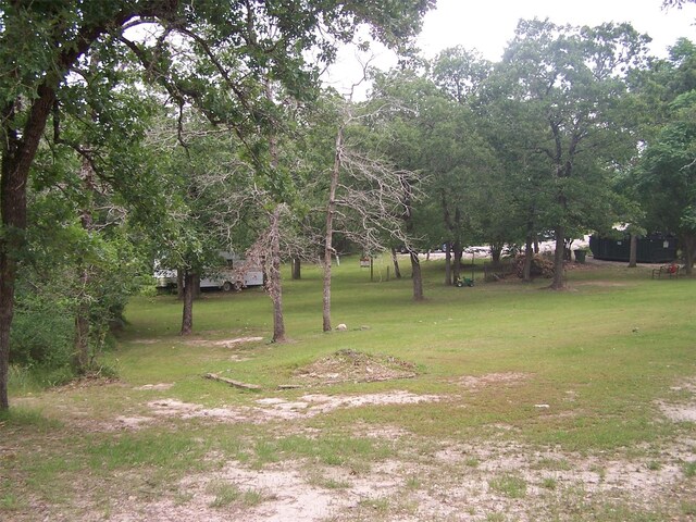 0 Twin Creek Dr, Huntsville, TX 77320 - photo 10