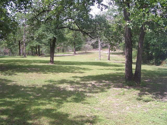 0 Twin Creek Dr, Huntsville, TX 77320 - photo 1