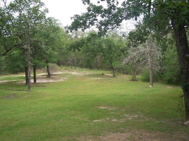0 Twin Creek Dr, Huntsville, TX 77320 - photo 6