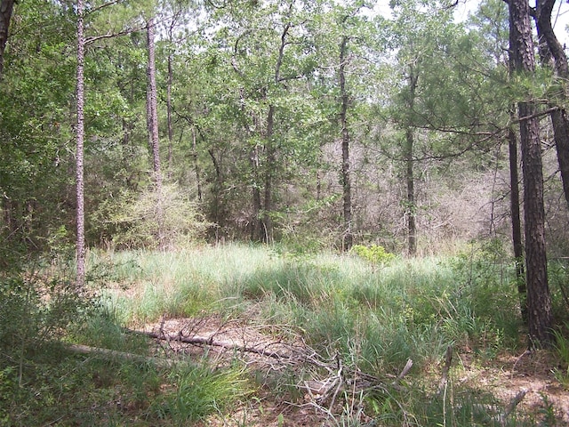 Listing photo 2 for 0 Twin Creek Dr, Huntsville TX 77320