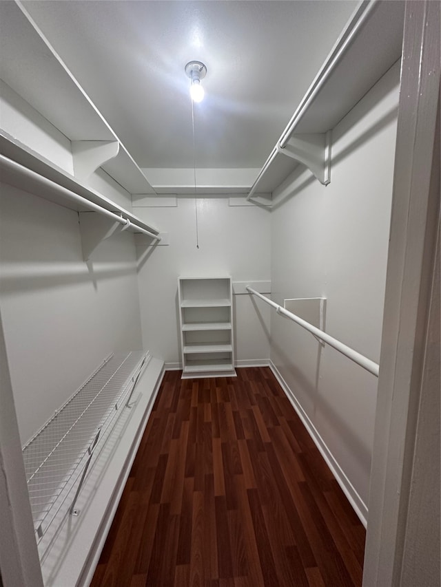 spacious closet featuring dark wood-type flooring