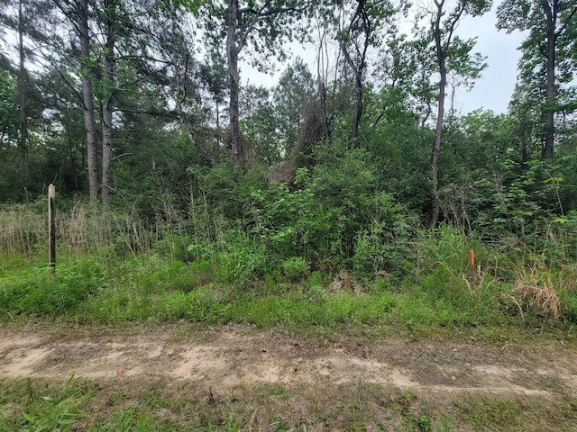 TBD Hardy Rd, Houston, TX 77073 - photo 3