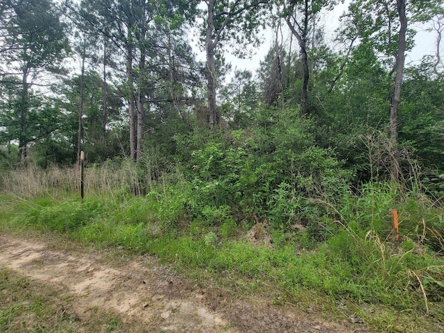 TBD Hardy Rd, Houston, TX 77073 - photo 10