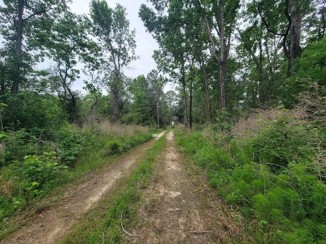TBD Hardy Rd, Houston, TX 77073 - photo 12