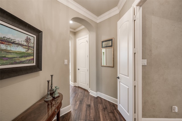 corridor featuring crown molding and dark hardwood / wood-style flooring