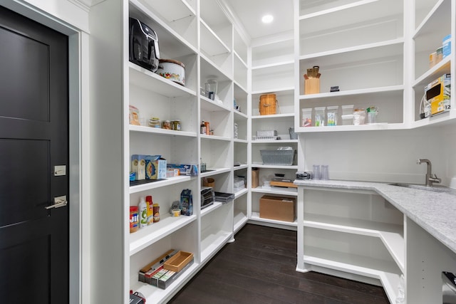 pantry with sink