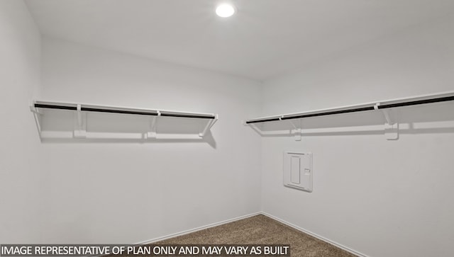 walk in closet featuring carpet and electric panel