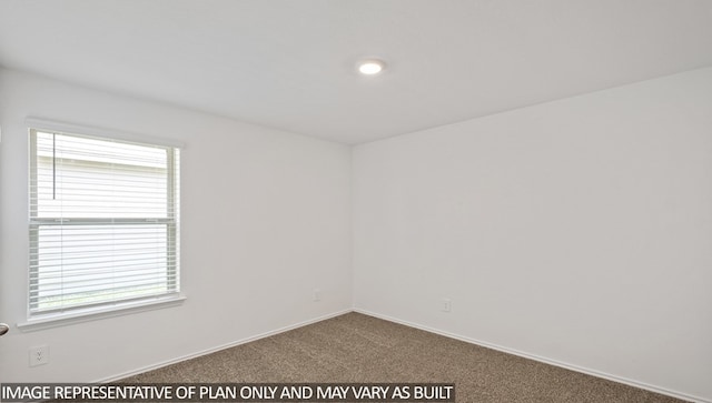 unfurnished room featuring carpet and plenty of natural light