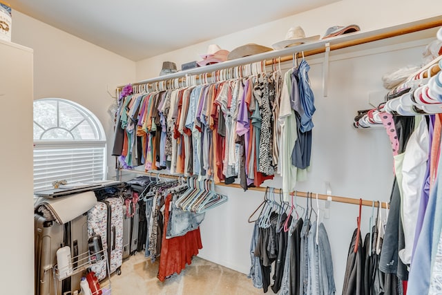 spacious closet featuring carpet flooring