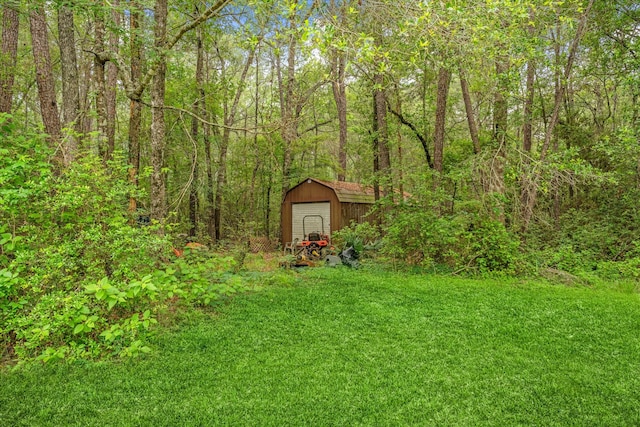 view of yard featuring a storage unit