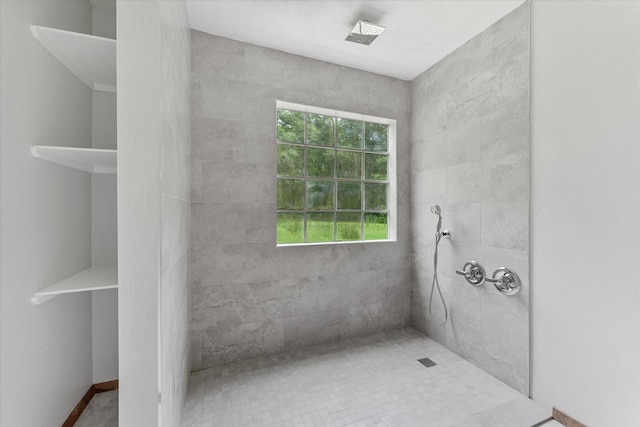 bathroom with a healthy amount of sunlight and a tile shower