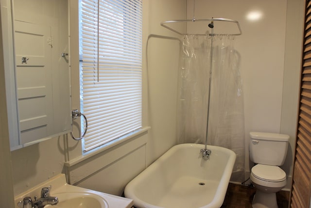 bathroom with a wealth of natural light, toilet, sink, and a washtub