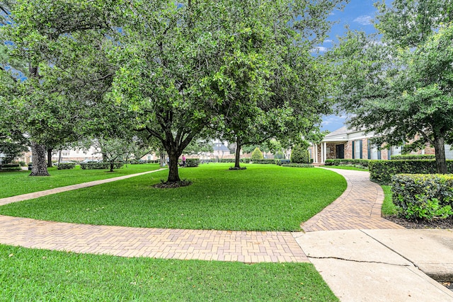 1329 Fountain View Dr Unit 135, Houston, TX 77057 - surrounding community with a yard