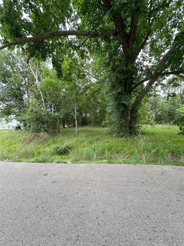 0 Larkspur St, Houston, TX 77033 - photo 6