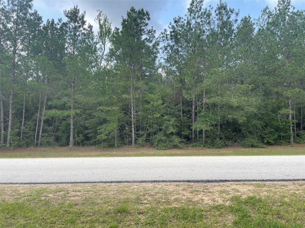 26063 Crown Ranch Blvd, Montgomery, TX 77316