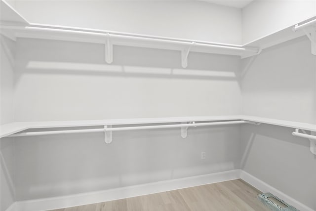 spacious closet with hardwood / wood-style floors