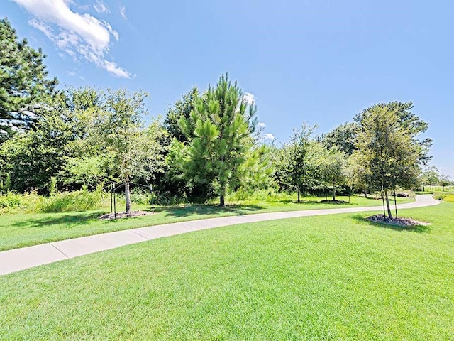 view of property's community featuring a lawn