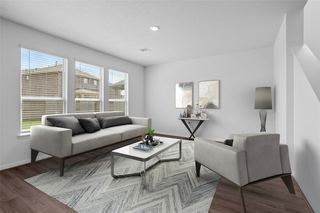 living room featuring hardwood / wood-style flooring and a healthy amount of sunlight