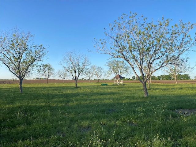 Listing photo 3 for TBDCOUNTYROAD473 Riverwood Rd, Gonzales TX 78629