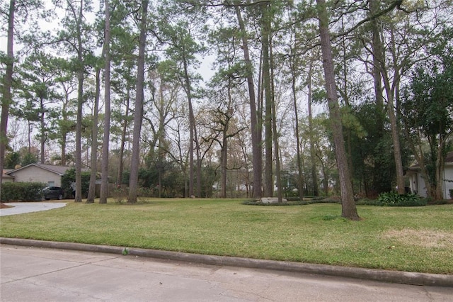 Listing photo 2 for 311 Electra Dr, Houston TX 77024