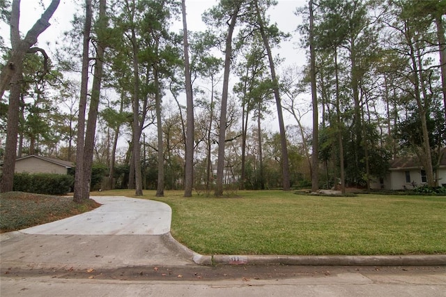 Listing photo 3 for 311 Electra Dr, Houston TX 77024