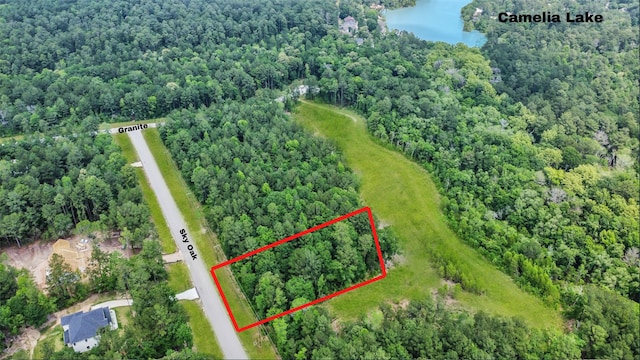 0 Sky Oak Ln, Huntsville TX, 77340 land for sale