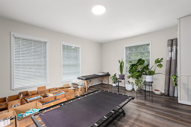 workout room with dark hardwood / wood-style flooring