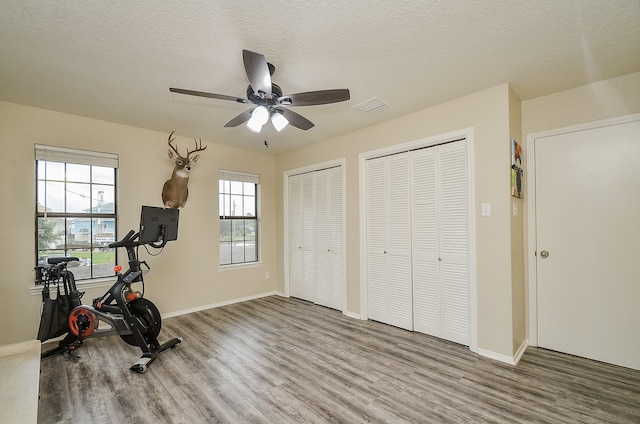 exercise room featuring a wealth of natural light, wood-type flooring, ceiling fan, and a textured ceiling