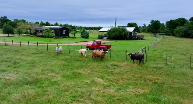 view of yard with a rural view