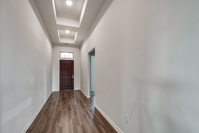 hall with dark hardwood / wood-style flooring and a raised ceiling