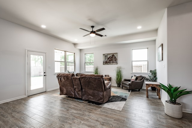 living room with wood-type flooring and ceiling fan