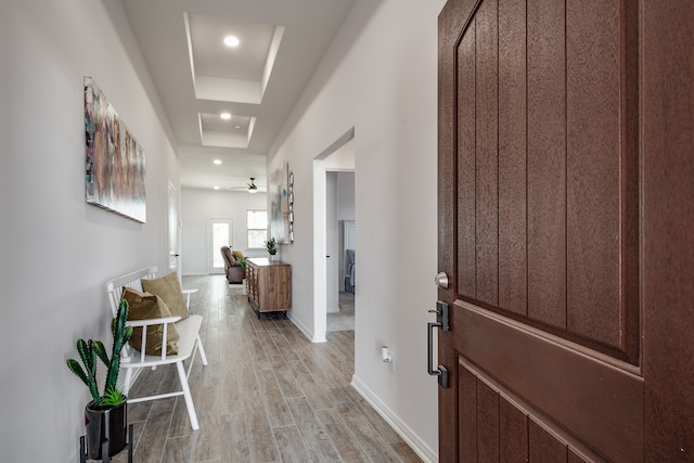 entryway featuring a raised ceiling and light hardwood / wood-style floors