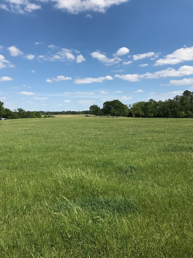 TBD Shepard Hill Rd, Willis TX, 77318 land for sale