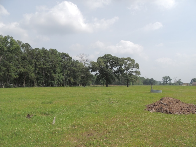 Listing photo 3 for 27787 Riley Rd, Waller TX 77484